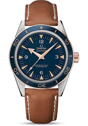 Omega Seamaster 300 Omega Master Co-Axial Watch - 41 mm Titanium Case - Sedna Gold Bezel - Blue Dial - Brown Leather Strap - 233.62.41.21.03.001 - Luxury Time NYC